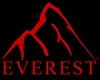 Everest Saat Alt�n P�rlanta �thalat �hracat Ticaret Ltd.�ti.
