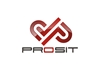 Prosit Global Danışmanlık Hizmetleri Limited Şirketi 